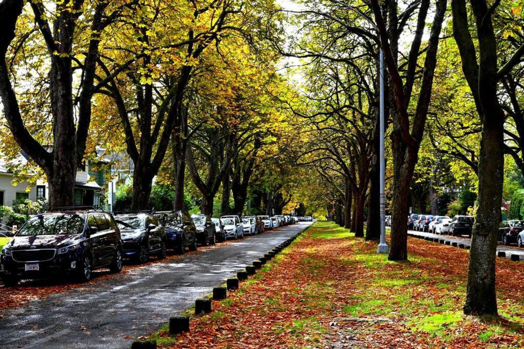 U-District Warmth 8 Mins Walk To Uw Βίλα Σιάτλ Εξωτερικό φωτογραφία